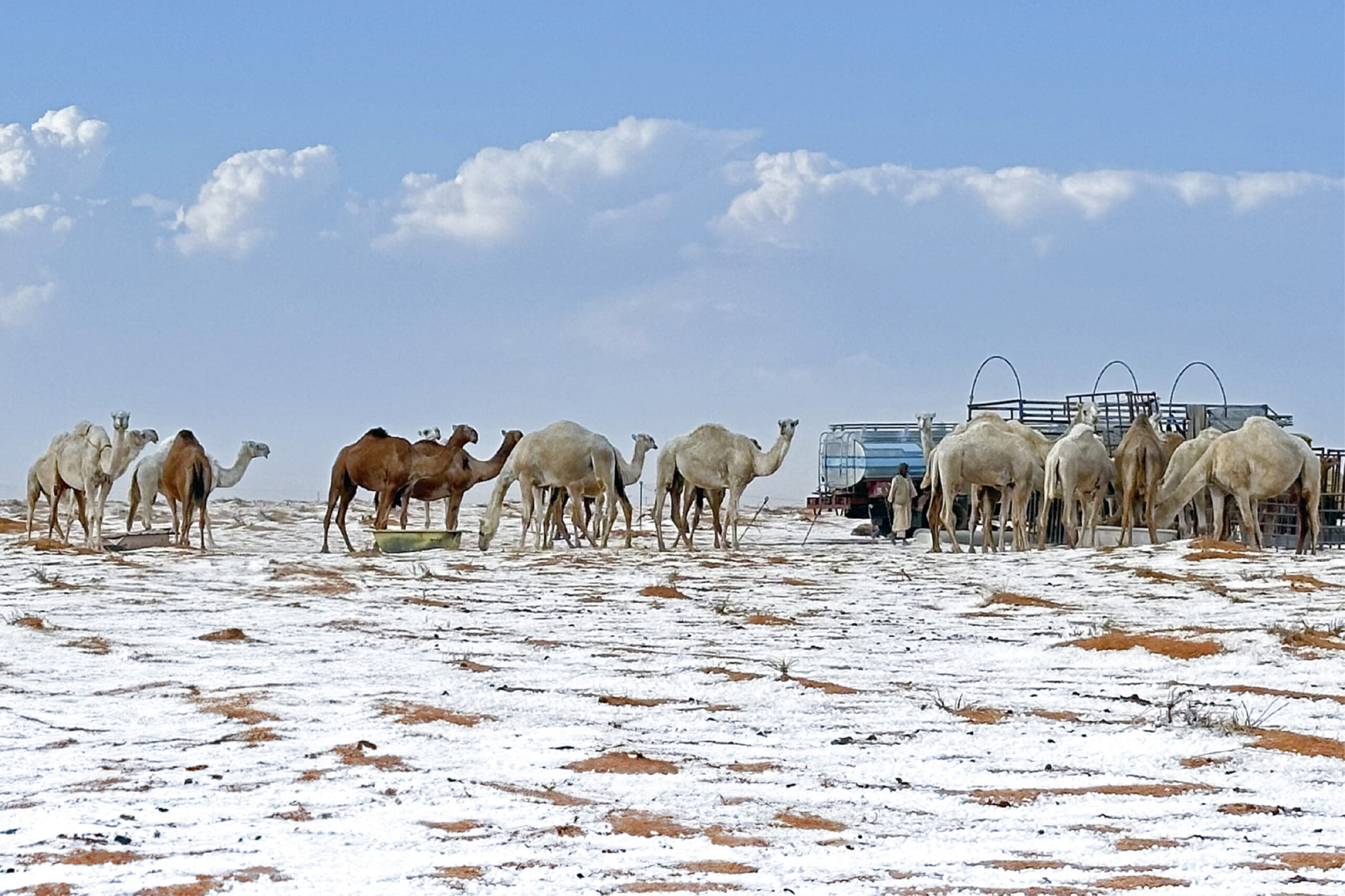 salju di gurun arab